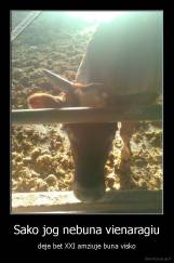 Sako jog nebuna vienaragiu - deje bet XXI amziuje buna visko