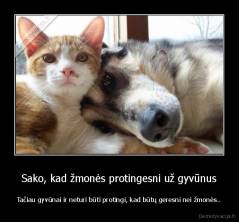 Sako, kad žmonės protingesni už gyvūnus - Tačiau gyvūnai ir neturi būti protingi, kad būtų geresni nei žmonės..