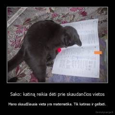 Sako: katiną reikia dėti prie skaudančios vietos - Mano skaudžiausia vieta yra matematika. Tik katinas ir gelbsti.