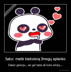 Sako: meilė kiekvieną žmogų aplanko - Dabar galvoju...tai gal tada aš koks arklys...