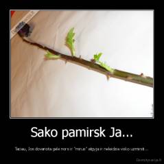 Sako pamirsk Ja... - Taciau, Jos dovanota gele nors ir "mirus" atgyja ir neleidzia visko uzmirsti...