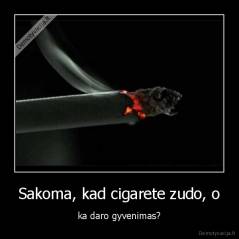 Sakoma, kad cigarete zudo, o - ka daro gyvenimas?