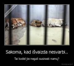 Sakoma, kad išvaizda nesvarbi.. - Tai kodėl jie negali susirasti namų?