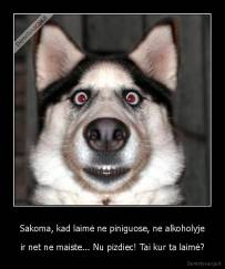 Sakoma, kad laimė ne piniguose, ne alkoholyje - ir net ne maiste... Nu pizdiec! Tai kur ta laimė?