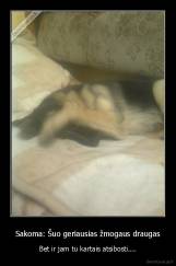 Sakoma: Šuo geriausias žmogaus draugas - Bet ir jam tu kartais atsibosti....