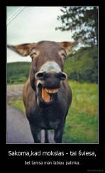 Sakoma,kad mokslas - tai šviesa, - bet tamsa man labiau patinka.