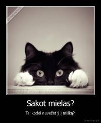 Sakot mielas? - Tai kodėl nuvežėt jį į mišką?