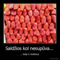 Saldžios kol nesupūva...  - ... kaip ir moterys 