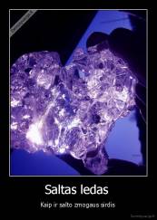 Saltas ledas  - Kaip ir salto zmogaus sirdis 