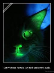 Santykiuose kartais turi turi uzsikimsti ausis, - 