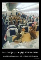 Saudo Arabijos princas įsigijo 80 lėktuvo bilietų  - savo sakalams, kad juos pergabentų. Arabų oro linijos turi siūlo tokia galimybę