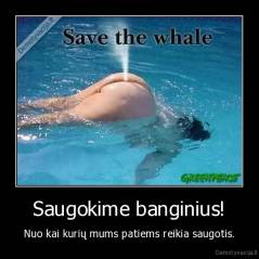 Saugokime banginius! - Nuo kai kurių mums patiems reikia saugotis.