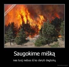 Saugokime mišką - nes tuoj nebus iš ko daryti degtukų