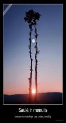 Saulė ir mėnulis - vienoje nuotraukoje tarp dviejų medžių