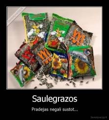 Saulegrazos - Pradejas negali sustot...