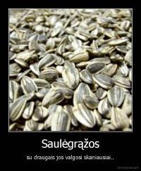 Saulėgrąžos - su draugais jos valgosi skaniausiai..