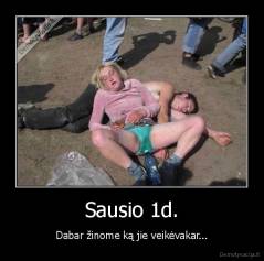 Sausio 1d. - Dabar žinome ką jie veikėvakar...