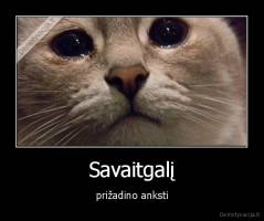 Savaitgalį - prižadino anksti