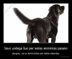 Savo uodega šuo per kelias akimirkas pasako - daugiau, nei jo šeimininkas per kelias valandas.