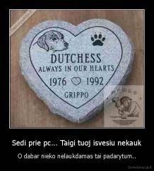 Sedi prie pc... Taigi tuoj isvesiu nekauk - O dabar nieko nelaukdamas tai padarytum..