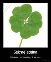 Sėkmė ateina - Tik reikia  jos nepaleisti iš rankų...