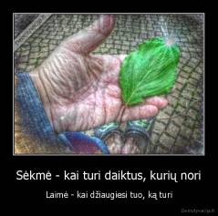 Sėkmė - kai turi daiktus, kurių nori - Laimė - kai džiaugiesi tuo, ką turi