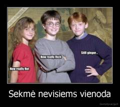 Sekmė nevisiems vienoda - 
