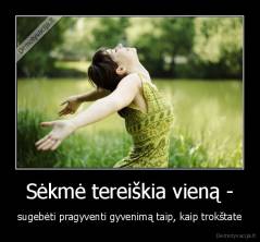 Sėkmė tereiškia vieną - - sugebėti pragyventi gyvenimą taip, kaip trokštate