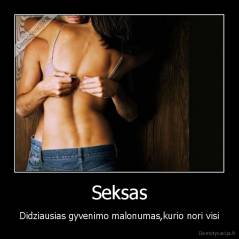 Seksas - Didziausias gyvenimo malonumas,kurio nori visi