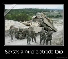 Seksas armijoje atrodo taip - 