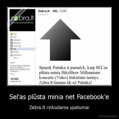 Sel'as plūsta minia net Facebook'e - Zebra.lt rinkodaros ypatumai