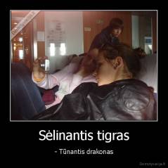 Sėlinantis tigras - - Tūnantis drakonas