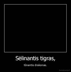 Sėlinantis tigras, - tūnantis drakonas.
