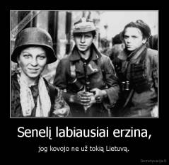 Senelį labiausiai erzina, - jog kovojo ne už tokią Lietuvą.