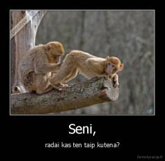 Seni, - radai kas ten taip kutena?