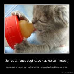 Seniau žmonės augindavo kiaules(del mesos), - dabar augina kates, jom perka maista ir skundziasi kad Lietuvoje krize.