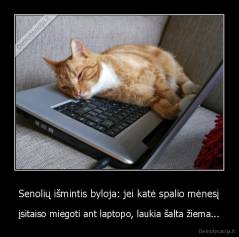 Senolių išmintis byloja: jei katė spalio mėnesį - įsitaiso miegoti ant laptopo, laukia šalta žiema...