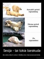 Sesija - tai tokia barakuda - Kuri ateina dukart į metus ir išdulkina tave visais įmanomais būdais. 