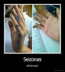 Sezonas - atidarytas!