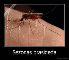 Sezonas prasideda - 