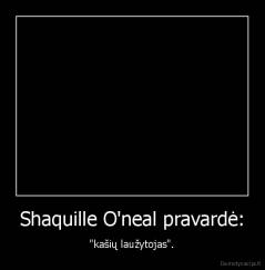 Shaquille O'neal pravardė: - "kašių laužytojas".