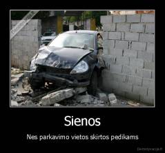 Sienos - Nes parkavimo vietos skirtos pedikams