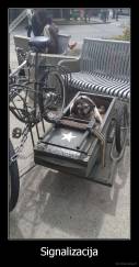 Signalizacija - 