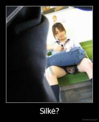 Silkė? - 