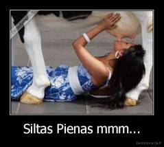 Siltas Pienas mmm... - 