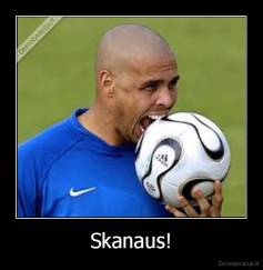 Skanaus! - 