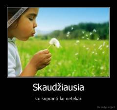 Skaudžiausia - kai supranti ko netekai.