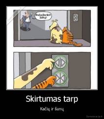 Skirtumas tarp - Kačių ir šunų