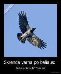 Skrenda varna po baliaus:  - Ku ku ku ku,fu bl** kar kar