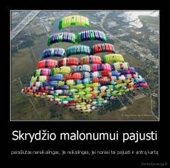Skrydžio malonumui pajusti - parašiutas nereikalingas, jis reikalingas, jei norėsi tai pajusti ir antrą kartą